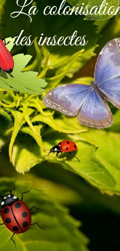 Vibrant insect-themed wallpaper with butterflies on green leaves.