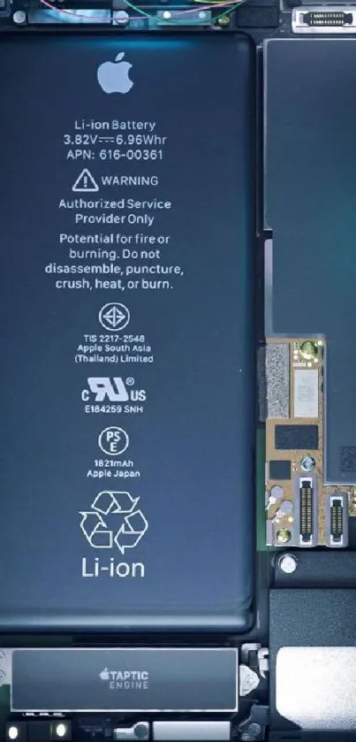 Detailed view of iPhone internals showcasing battery and circuit components.