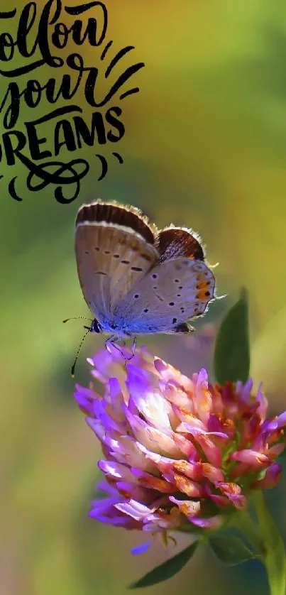 Butterfly on flower with 'Follow Your Dreams' text.