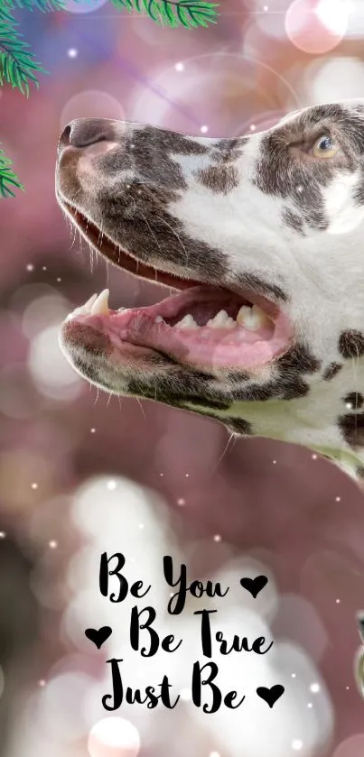 Dalmatian with motivational quote on pink bokeh background.