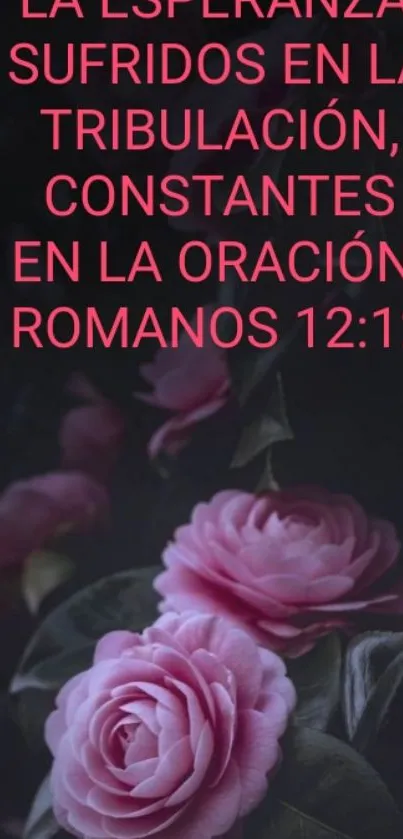 Pink roses with Spanish Bible verse on a dark background.