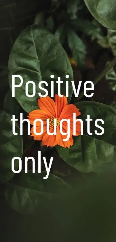 Orange flower with green leaves and positive thoughts text.