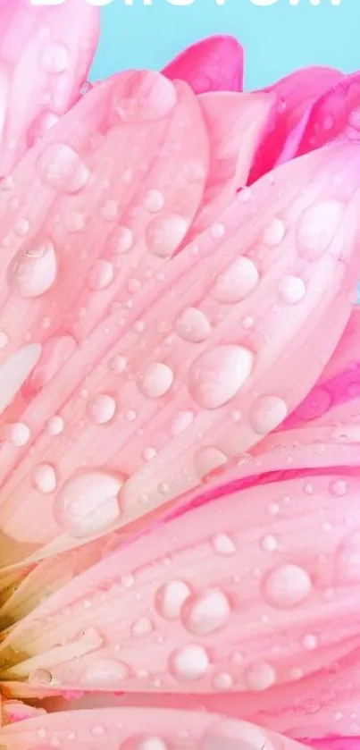 Pink flower with dew and 'Believe' text on mobile wallpaper.