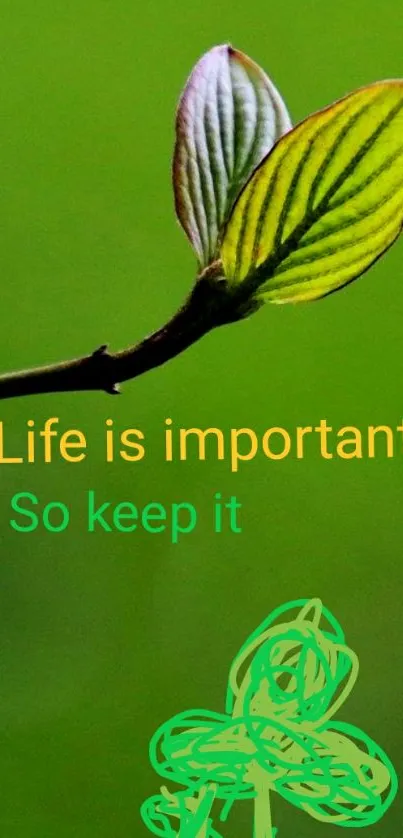 Green leaf with inspiring quote wallpaper for mobile.