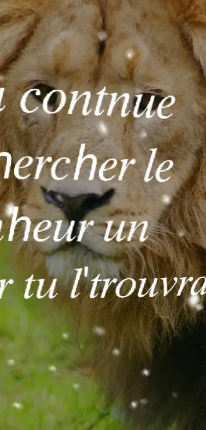 Lion with motivational quote on green background.
