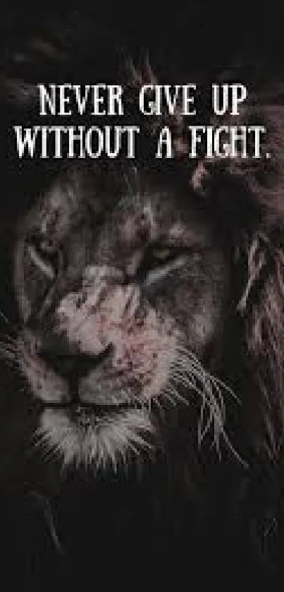 Lion with motivational quote - Never give up without a fight.