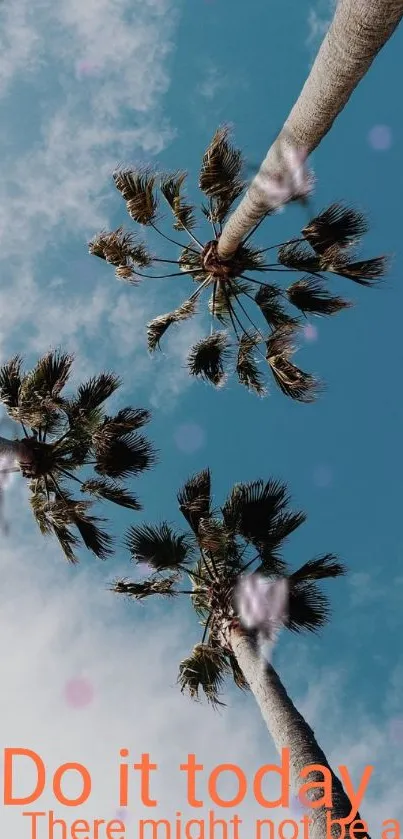 Palm trees and sky with motivational text mobile wallpaper.