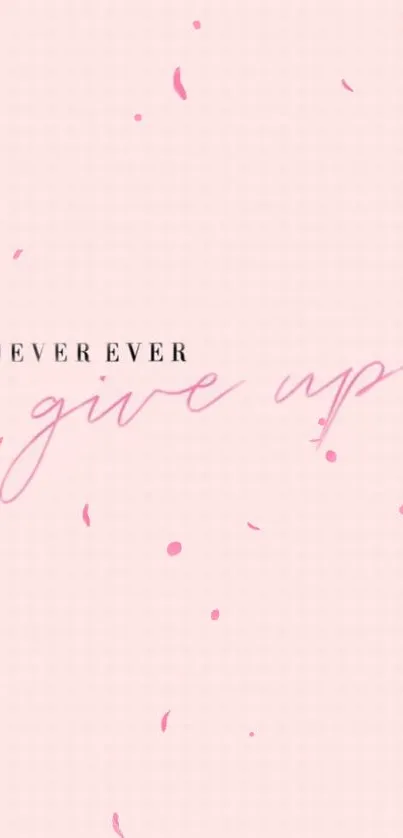 Pink wallpaper with 'Never Ever Give Up' in fancy script.