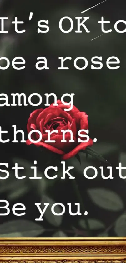 Red rose with motivational text on dark background in ornate frame.