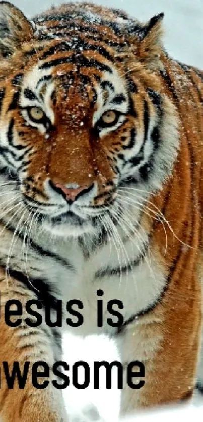 Tiger in snow with inspirational text 'Jesus is awesome'.