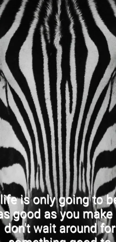 Zebra with motivational quote in black and white wallpaper.