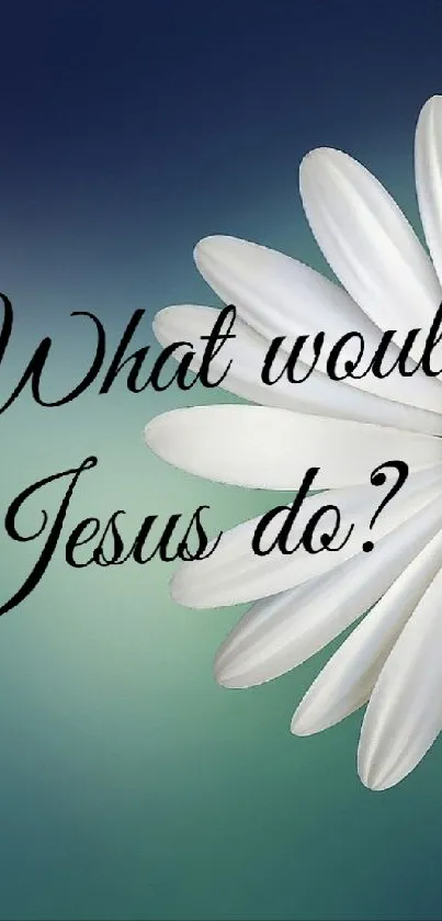 Inspirational daisy wallpaper with 'What would Jesus do?' text.