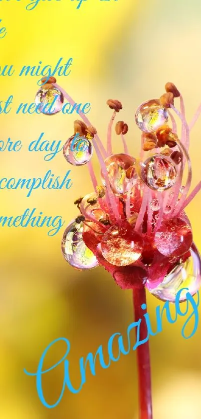 Vibrant flower with droplets and inspiring message on a bright background.