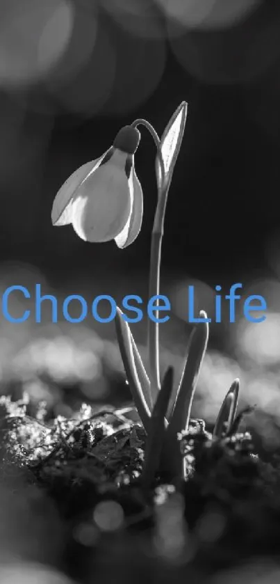 Gray wallpaper with flower and 'Choose Life' text.