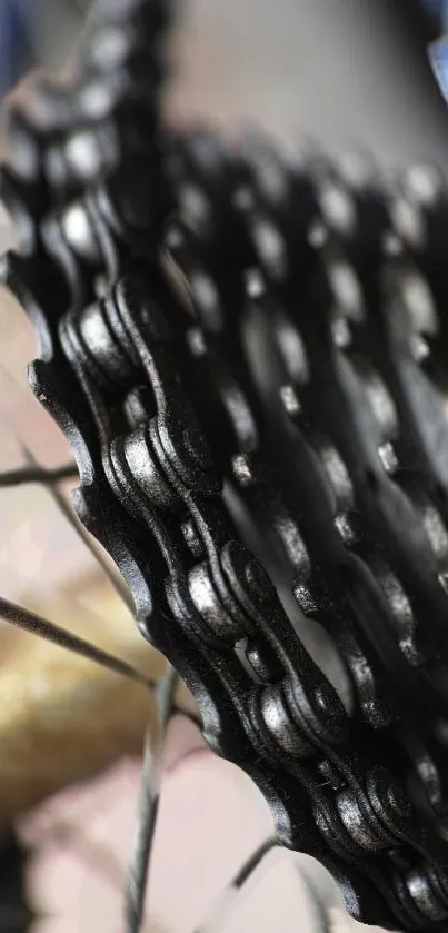 Close-up of a bicycle gear showcasing detailed metal chains.