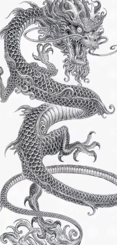 Intricate gray dragon artwork, detailed and artistic, on a light background.