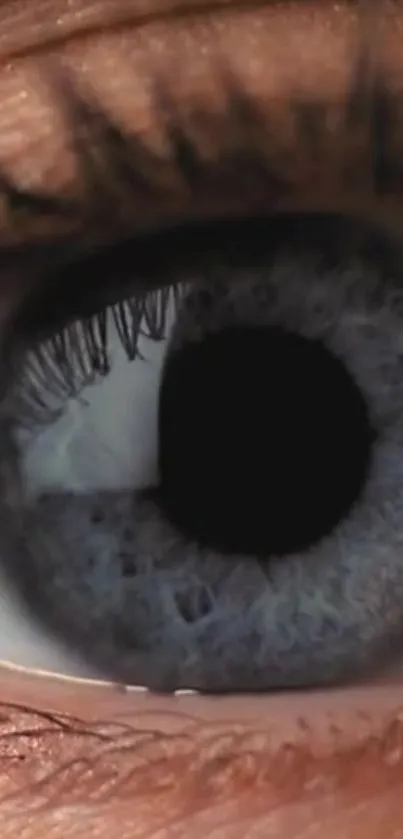 Close-up image of a blue eye with detailed iris patterns.