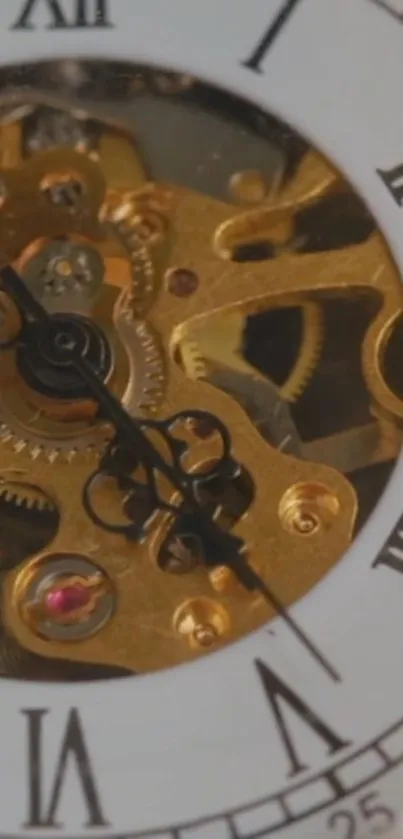 Close-up of a classic clock's gears and Roman numeral face.