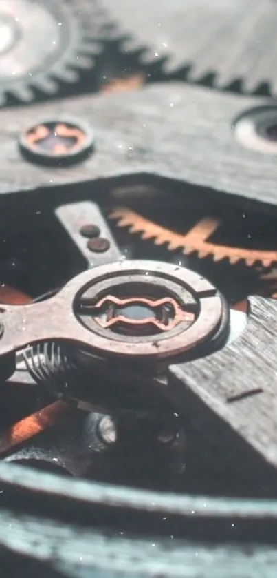 Close-up of intricate gears with copper tones.