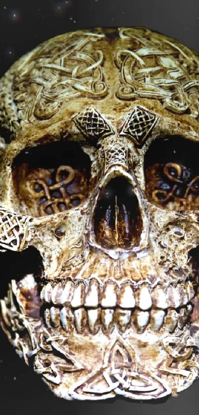 Intricate skull with Celtic designs on dark background.