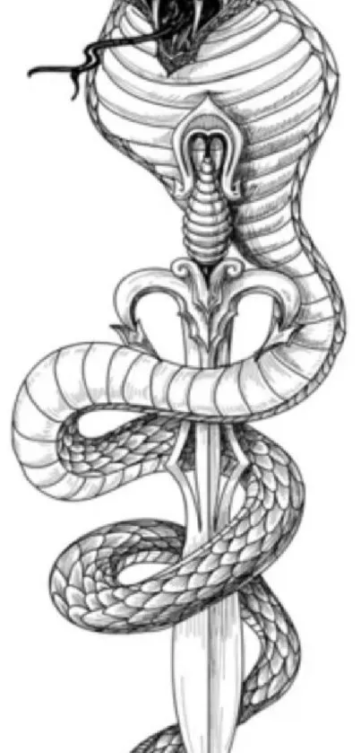 Intricate black and white drawing of a snake and dagger design.