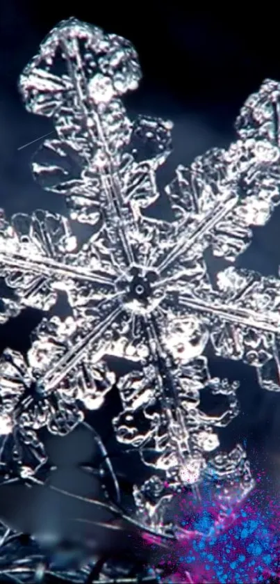 Close-up of an intricate snowflake with a dark blue background.