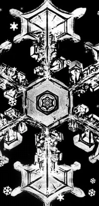 Intricate black and white snowflake pattern wallpaper.