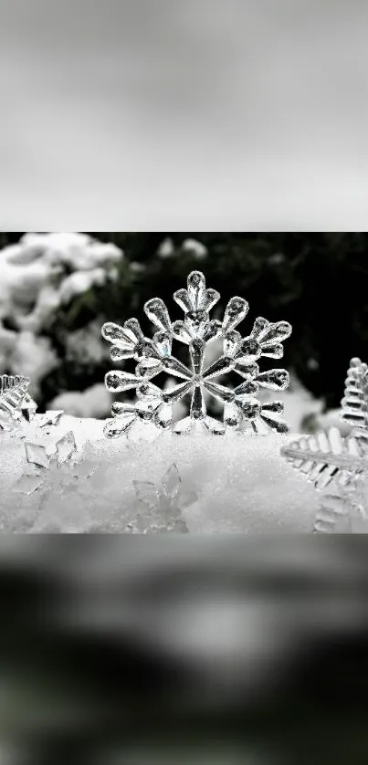 Intricate snowflakes resting on white snow