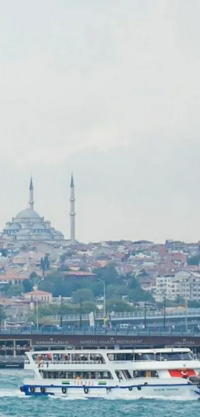 Boat navigating Istanbul's scenic skyline.