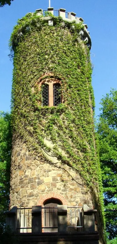 Ivy-covered stone tower in lush forest.