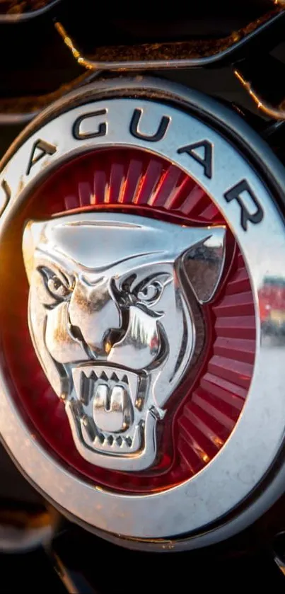 Jaguar logo with red background and silver detailing.