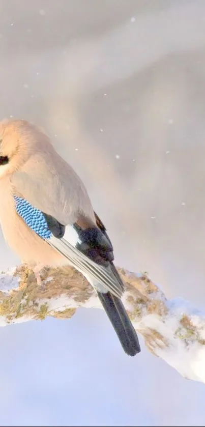 Bird perched on snowy branch in serene winter setting.