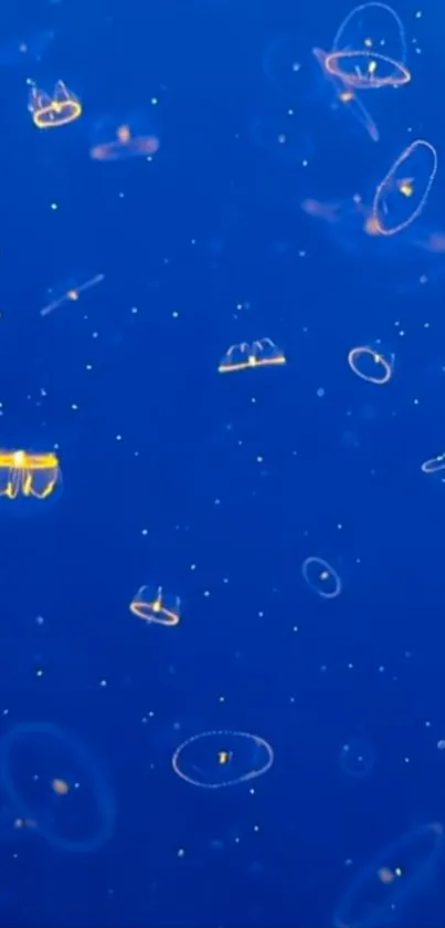 Translucent jellyfish floating in deep blue ocean background.