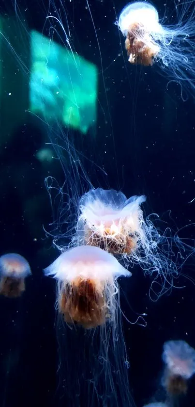 Mesmerizing jellyfish in a glowing underwater scene, perfect for phone wallpaper.