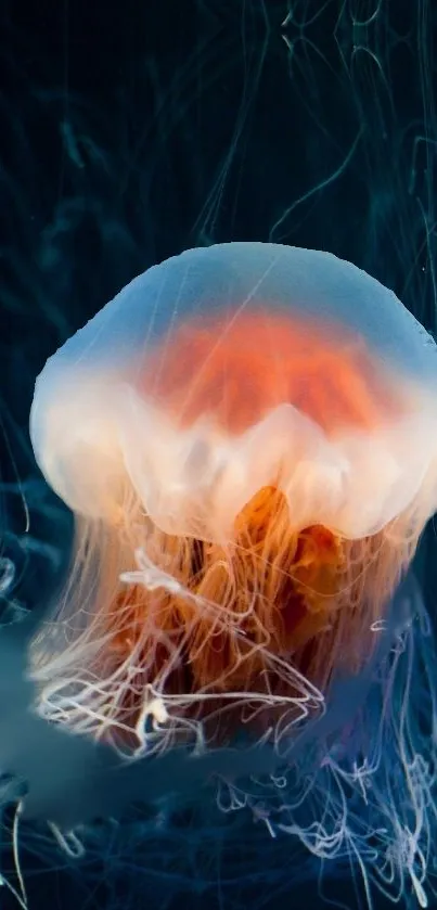 Glowing jellyfish in dark ocean background, blue and orange hues.