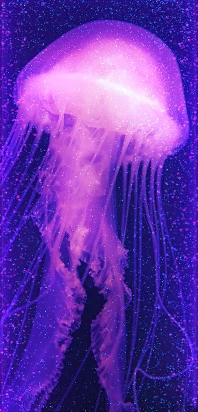 Jellyfish Water Bioluminescence Live Wallpaper