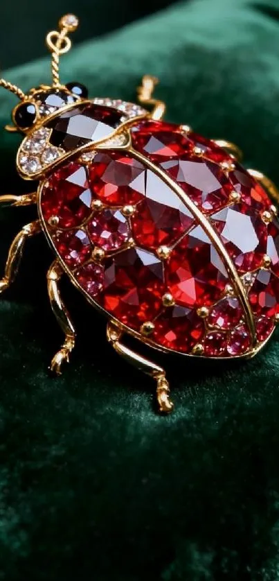 Jeweled ladybug on rich green velvet background.