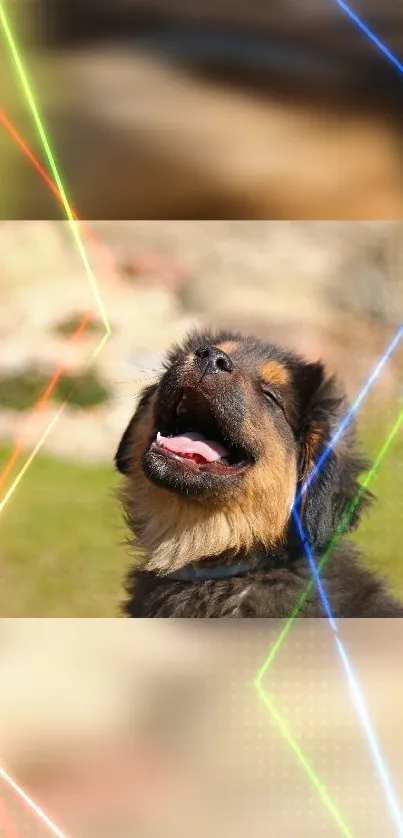 Joyful dog with neon laser lights on a mobile wallpaper.