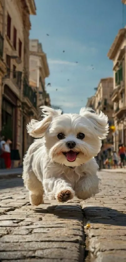 White dog joyfully running on a cobblestone street in a vibrant city.