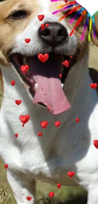 Mobile wallpaper of a happy dog with heart overlays.