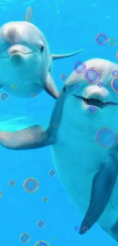 Two cheerful dolphins swimming in clear blue water.