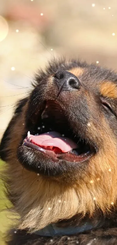 Joyful puppy enjoying the outdoors with a bright green background.