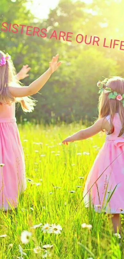 Two young girls with flower crowns in a sunny meadow.