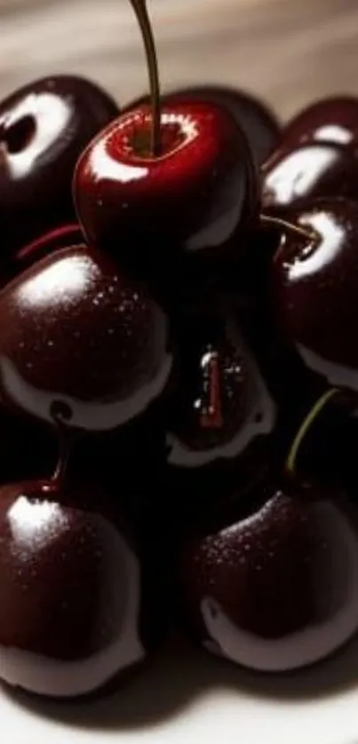 Close-up of glossy dark cherries on a plate.