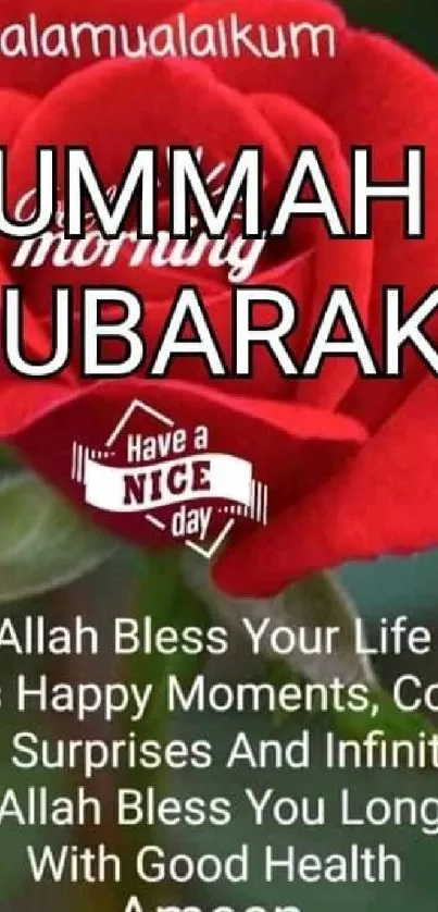 Jummah Mubarak wishes with a red rose.