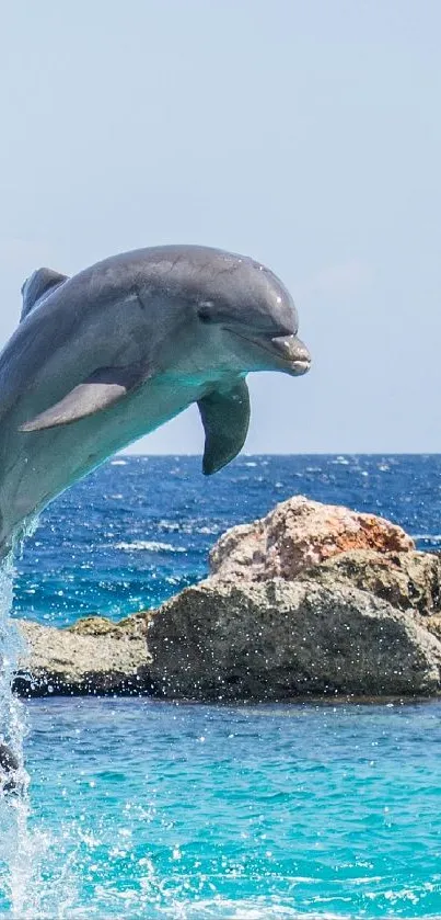 A dolphin leaping from turquoise waters with a rocky shoreline backdrop.