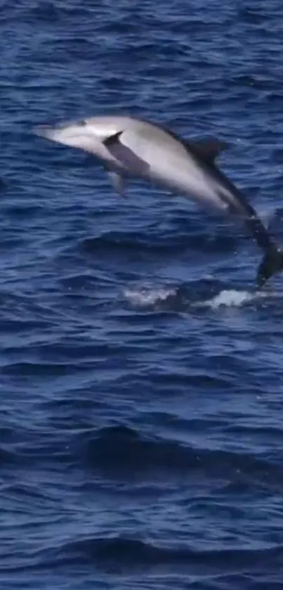 Dolphin leaping in deep blue ocean waves, creating a stunning wildlife scene.