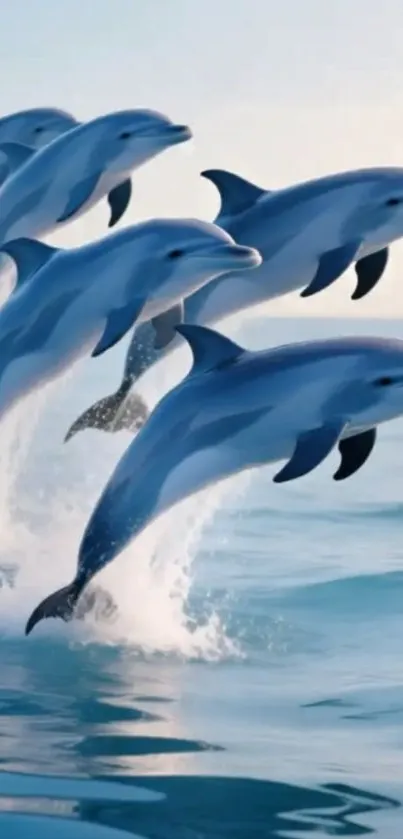 Dolphins gracefully leaping over a serene ocean setting.