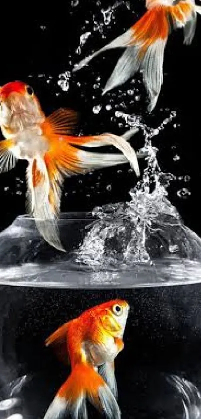 Goldfish jumping from a fishbowl with water splash on a black background.