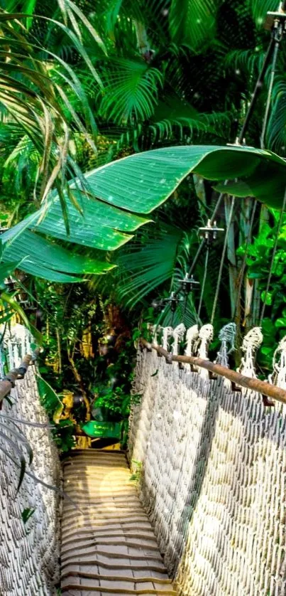 Lush jungle rope bridge amidst vivid greenery.